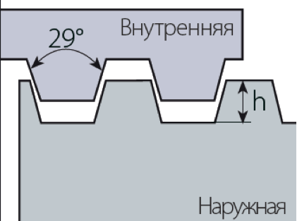ACME укороченная 