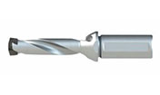 QD-3D-CA