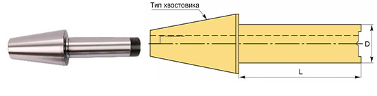 SK-D