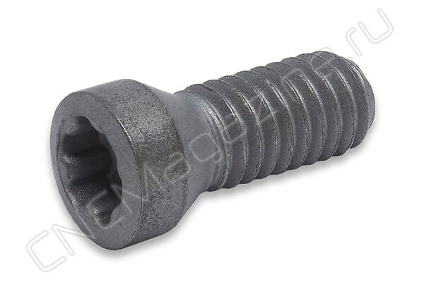 Винт SI60M3.5X10-05018