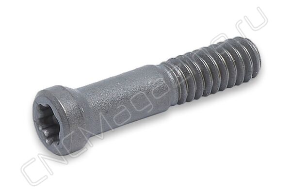 M2x10 винт