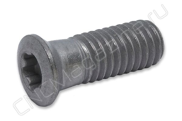 SI83M050140-07010IB винт