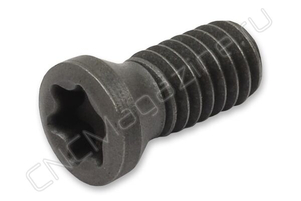 TL60M2.5x6.5 (I60M2.5x6.5T) винт