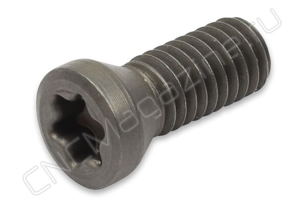 TL60M3.5x10 (I60M3.5x10) винт