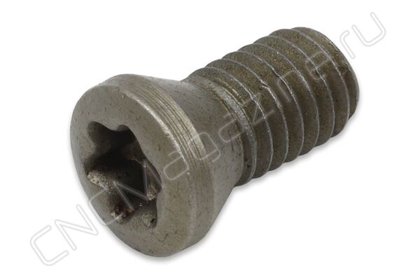4020-M4.5X10 винт