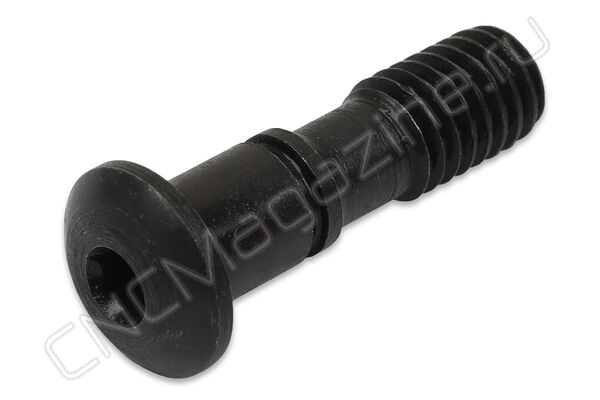 AKV-03-M6X22 винт