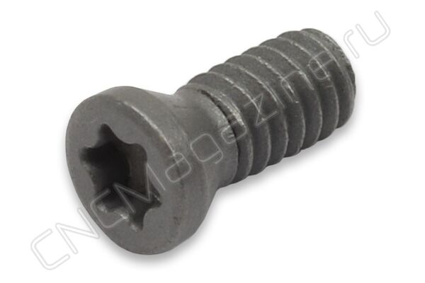 TL60M2x4.3 винт
