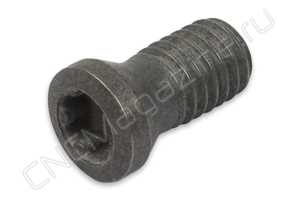 SI60M045100-06212IB винт