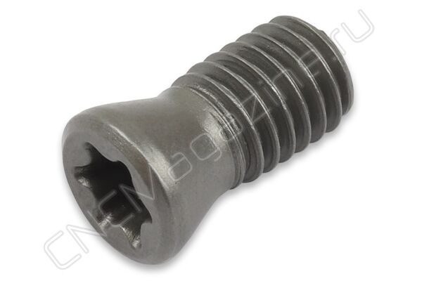 M5.0x10.5 TORX винт