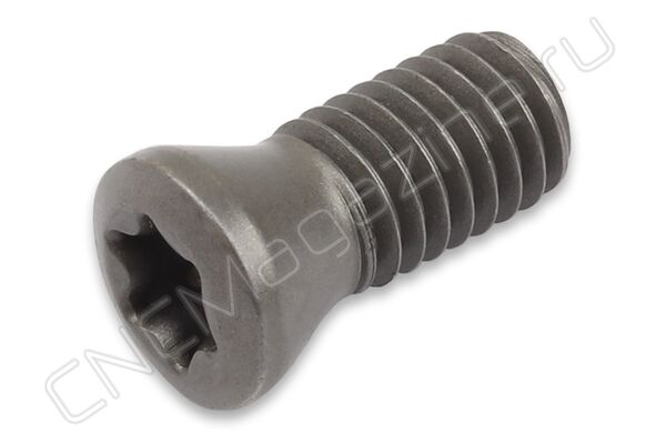 M5.0x12 TORX винт