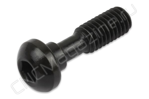 DM0625 (CM6x25C) винт прижима
