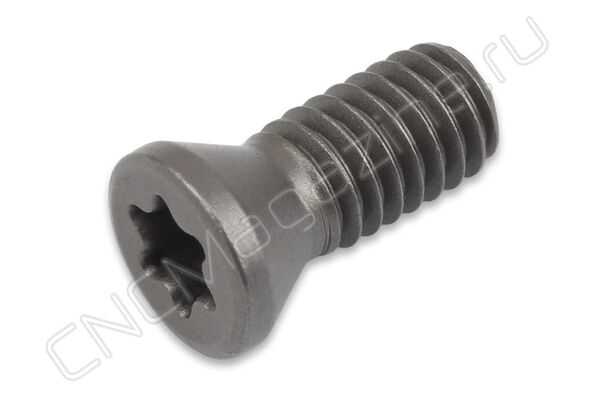 Винт M4x10 DSCNC