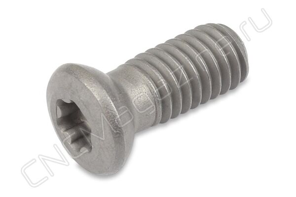 TL60M6x16 винт