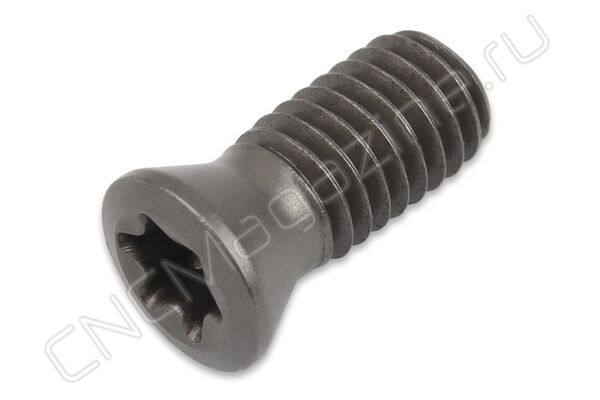 Винт M5x11 DSCNC