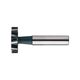 ML06222E02 Фреза Т-образная 22.5X10X5X63 для шпоночных пазов Milling Cutter